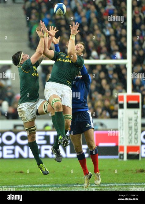 South Africa's Bakkies Botha during a rugby friendly Test match, France ...