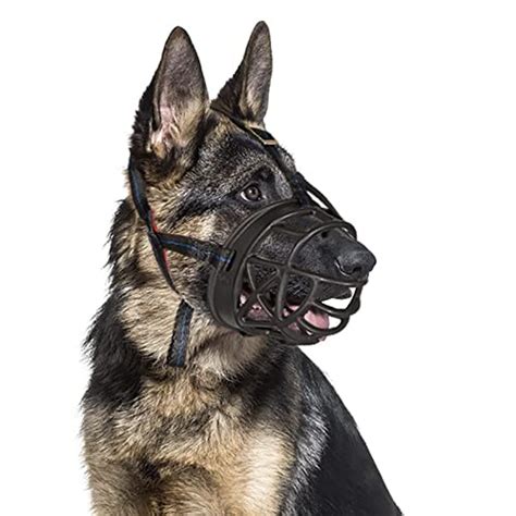 Top 10 Best Muzzle For Aggressive Dog : Reviews & Buying Guide - Katynel