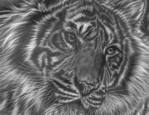 Tiger Art ORIGINAL Drawing Spirit Animal Art Tiger Drawing - Etsy