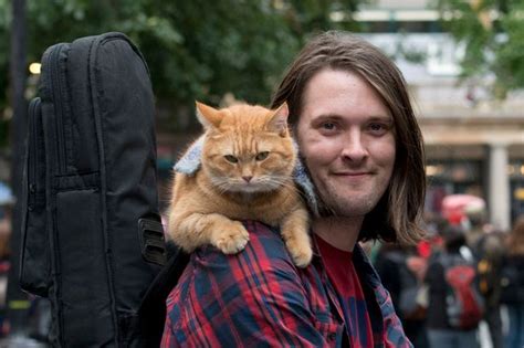 Good Newsz Only: "A Street Cat Named Bob" - this unassuming cat helped James Bowen go from being ...