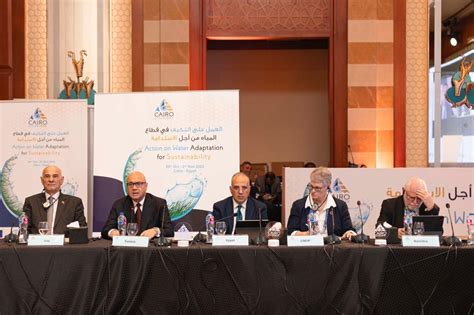 The Ministry of Water Resources and Irrigation and UNDP Egypt hosts roundtable discussion on ...