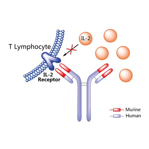 Basiliximab - Pictures