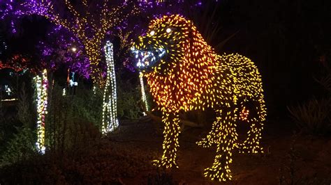 Cast your vote! Phoenix Zoo hoping to be recognized as best zoo lights ...