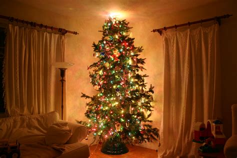 1-08-06 christmas tree 011 | christmas tree lights | Flickr