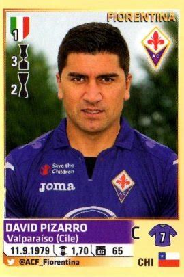 David Pizarro - Stats and titles won