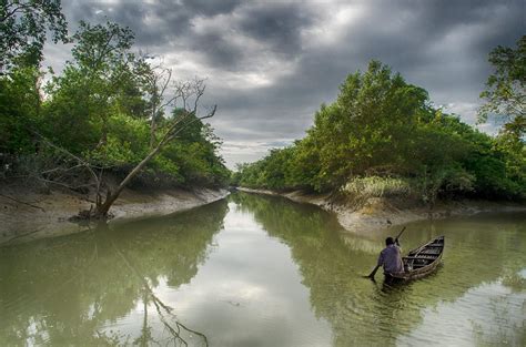 The Largest Mangrove forest "Sundarban", land of Royal Bengal Tiger ...