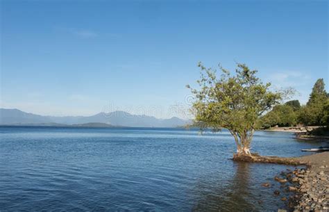 Panorama Of Lake Ranco, The Third Largest Lake In Chile. In The Region Of Los Rios, In Araucania ...