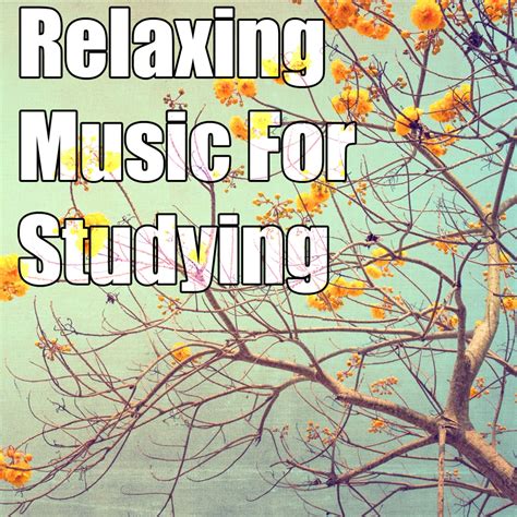 Relaxing Music For Studying Spotify Playlist