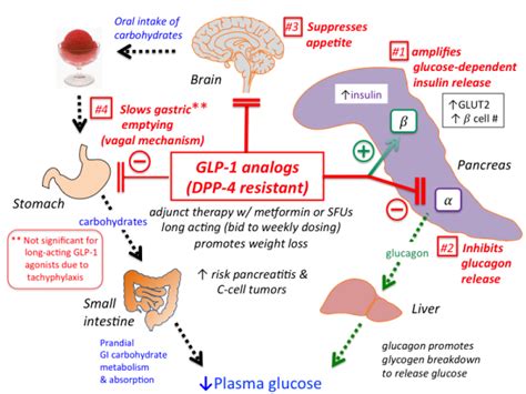 GLP-1 agonists