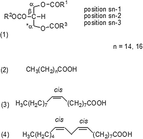 Basic structure of a triacylglyceride (TAG) proposed by Fisher: (1)... | Download Scientific Diagram