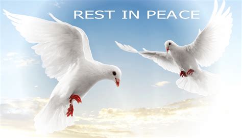 SolaBranded.com: "Rest In Peace"