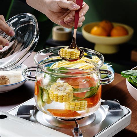 Glass Cooking Pot with Lid - Modern Transparent Design - ApolloBox