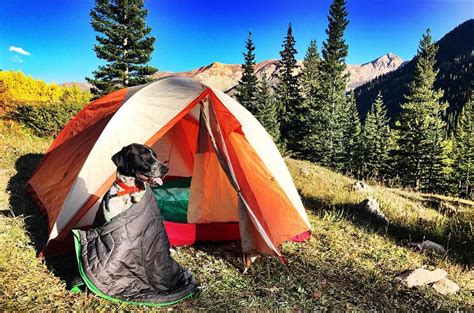 Camping with Dogs: Learn How to Practice Proper Etiquette at Campsites