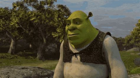 Shrek2 Shrek GIF – Shrek2 Shrek Talk – discover and share GIFs