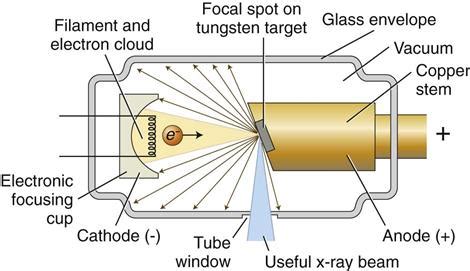 1. Physics | Pocket Dentistry