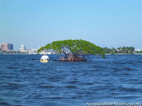 Kayaking Lake Worth Lagoon – Florida Kayaking Adventures