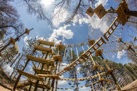 Win a pair of passes to Trollhaugen’s Aerial Adventure Park...