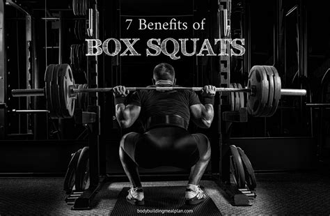 7 Benefits of Box Squats (& How to Box Squat Effectively)