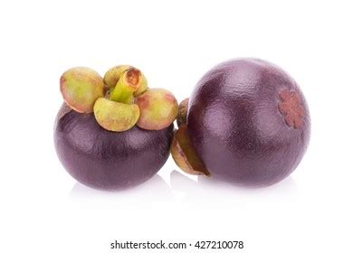 2,106 imágenes de Mangosteen malaysia - Imágenes, fotos y vectores de stock | Shutterstock