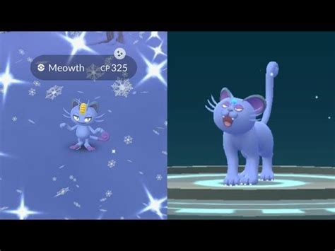 WE CAUGHT SHINY ALOLAN MEOWTH! POKEMON GO SHINY ALOLAN MEOWTH EVOLVES INTO SHINY ALOLAN PERSIAN ...