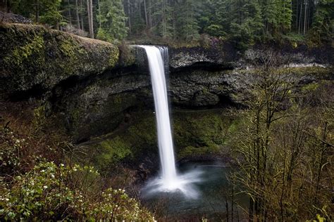 Silver Falls State Park - Wikipedia