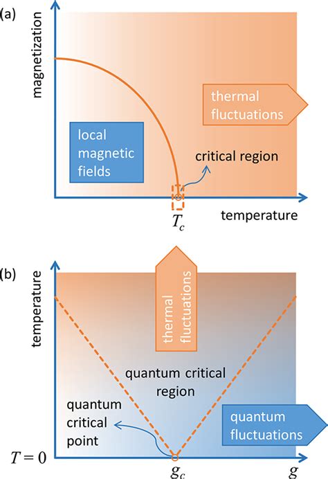 Physics - Viewpoint: A Critical Test of Quantum Criticality