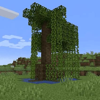 Mangrove Trees in Minecraft - Apex Hosting