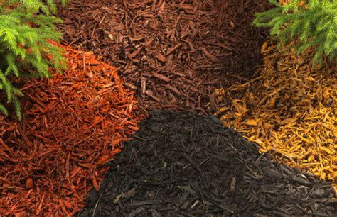 Different Types of Mulch and Mulching: Which One's Best? - Dengarden