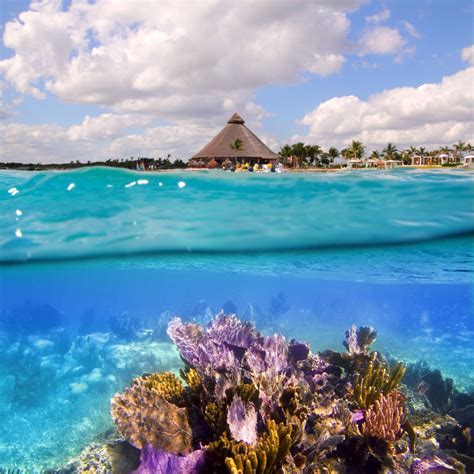 12 BEST Cancun Snorkeling Tours [2024]