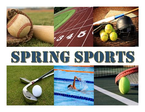 Patriot Athletics / Spring Sports