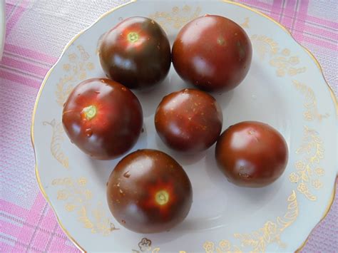 KUMATO Tomato Seeds Black Green Tomatoes Heirloom Sweet - Etsy Australia