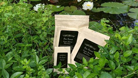 Compostable Packaging - NightBlooming