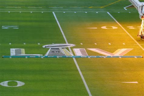 Super Bowl LIV - Super Bowl Field - Super Bowl Grass