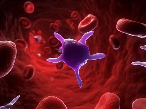 How Rheumatoid Arthritis Affects Platelets