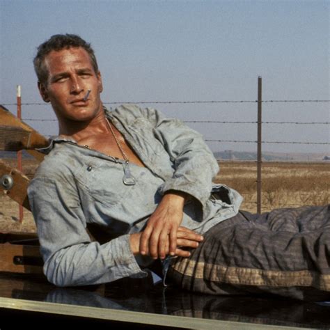 Classic American films: Cool Hand Luke – Paul Newman shines in compelling prison drama | South ...