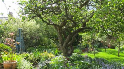 35 Extraordinary Backyard Fruit Trees - Home, Family, Style and Art Ideas