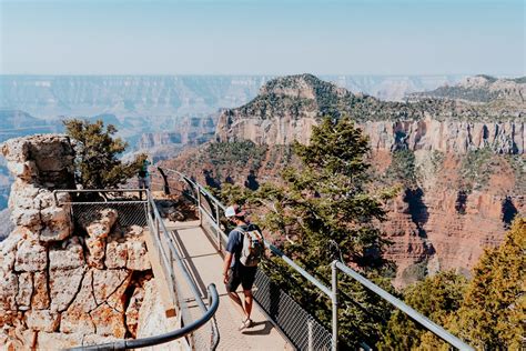 Grand Canyon North Rim vs South Rim - Which Side Should You Visit?