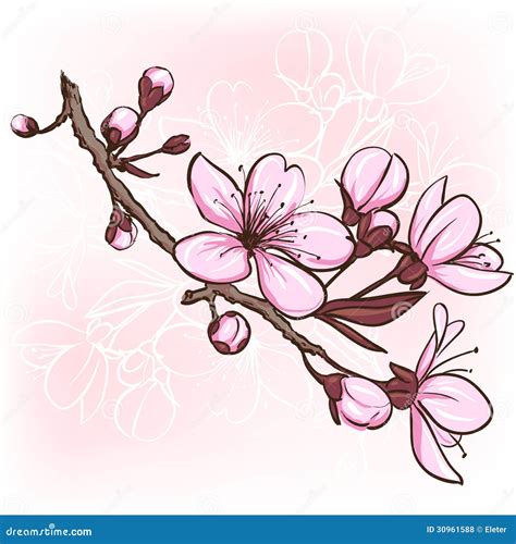 Cherry Blossom Royalty Free Stock Photos - Image: 30961588