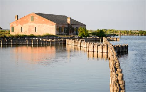 8 reasons to visit Ravenna and the Adriatic Coast