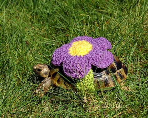 tortoise cozy flower « Inhabitat – Green Design, Innovation ...