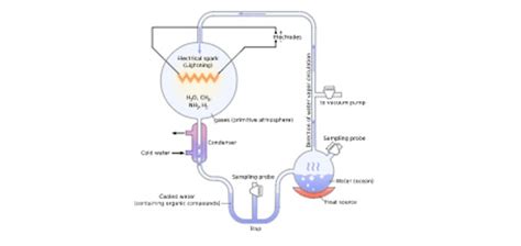 Abiogenesis Theory: Definition, Types, Examples I NotesBard