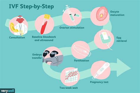 IVF Process: Where to Start With IVF (In Virto Fertilization)