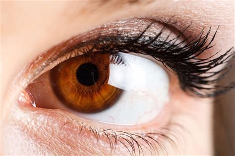 Which eye colour occurs the most?