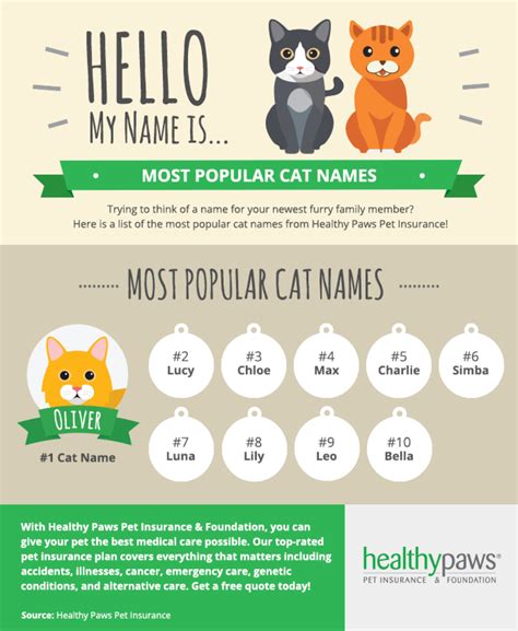 Popular Cute Cat Names | Healthy Paws Pet Insurance