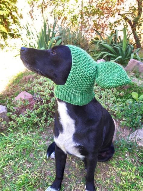 Dog Hats / Knitted Hat/dog Hat With Ears/ Hand-knitted Hat for - Etsy