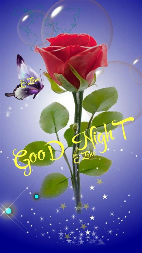 a red rose and a butterfly on a blue background with the words, good night