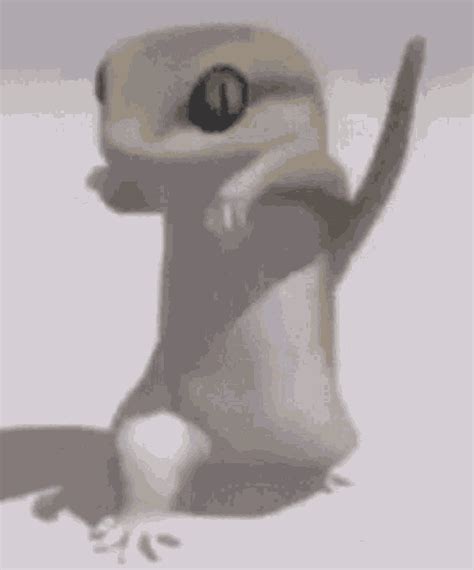 Gecko Lizard GIF - Gecko Lizard Dance - Discover & Share GIFs