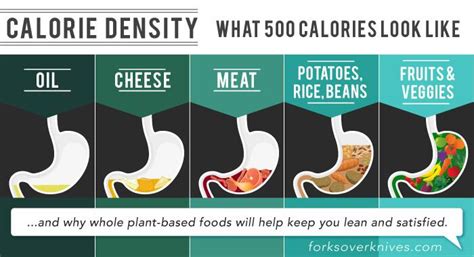 Nutritious low energy density foods for weight loss - Marty Kendall