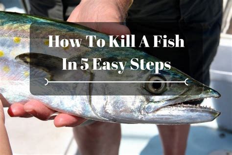 How To Kill A Fish In 5 Easy Steps | Outdoor Choose