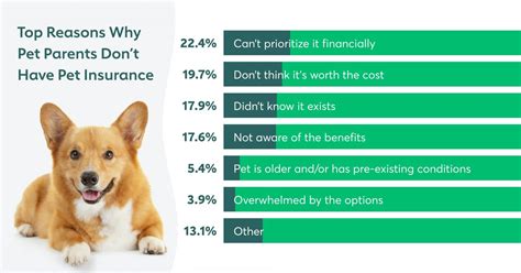 The Best Pet Insurance Companies: A Pet Parent's Guide